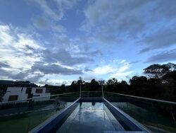 Bukit Timah Estate (D10), Detached #432264451